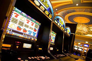 开发者谈《刺客信条：影》对动物无暴力 亲近比杀戮更有魅力